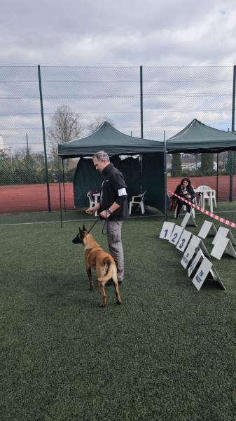 ODA Marshall Dogs (FCI)