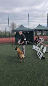 ODA Marshall Dogs (FCI)