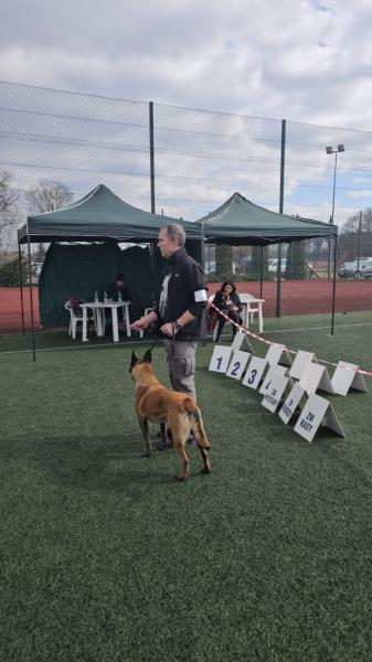 ODA Marshall Dogs (FCI)